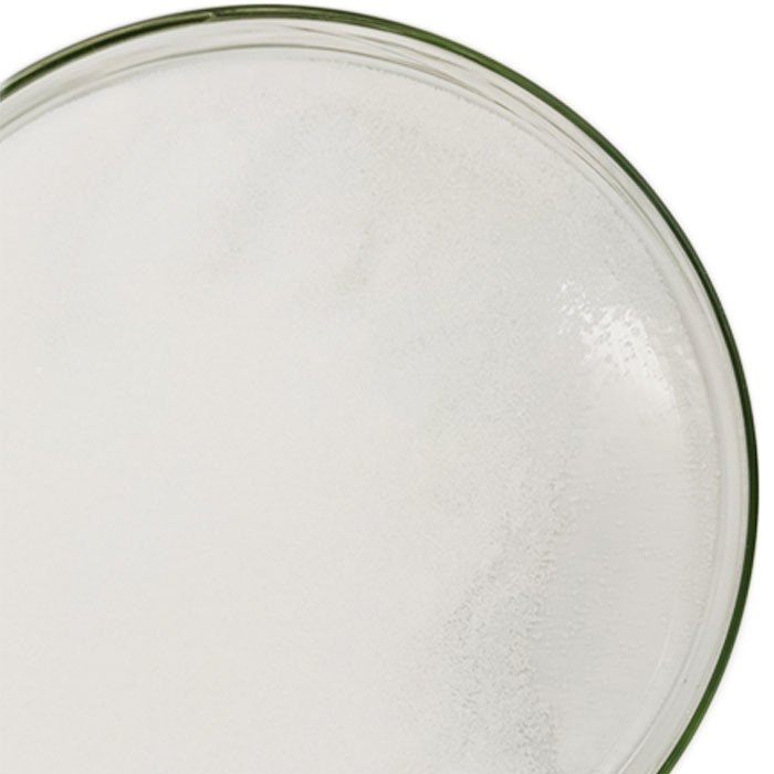 Фторид PVDF 24937-79-9 Polyvinylidene Materia Hsv900 смолы Pvdf девственницы